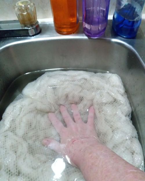 Chantalbears's tweet card. Water is clear… Finally .. 7x washings and 8 x rinsing #alpaca #whitefleece #woolprocessing https://www.instagram.com/p/CXxokAurcxe/?utm_medium=tumblr
