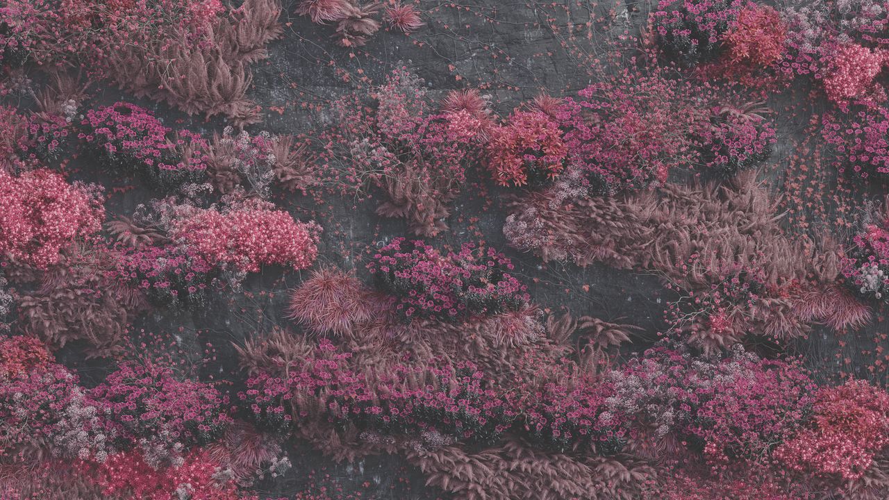 pitchfork's tweet card. Read Eli Enis’ review of the album.