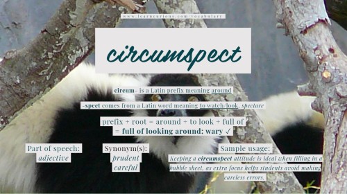 learn__curious's tweet card. learncurious.com featured strategy: vocab breakdown cards learn vocabulary by training yourself to recognize prefixes, roots, & suffixes commonly found in other words you already know didja know...