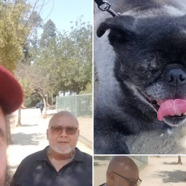 stevebethers's tweet card. Steve Bethers (@stevebethers) • Instagram photo