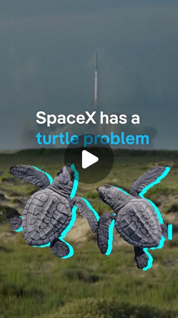 52Variables's tweet card. DW Environment (@dw_environment) • Instagram reel