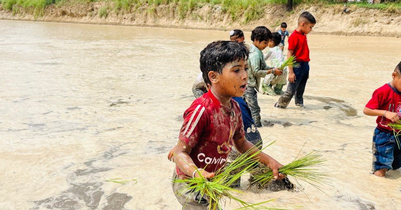 Tweet card summary image