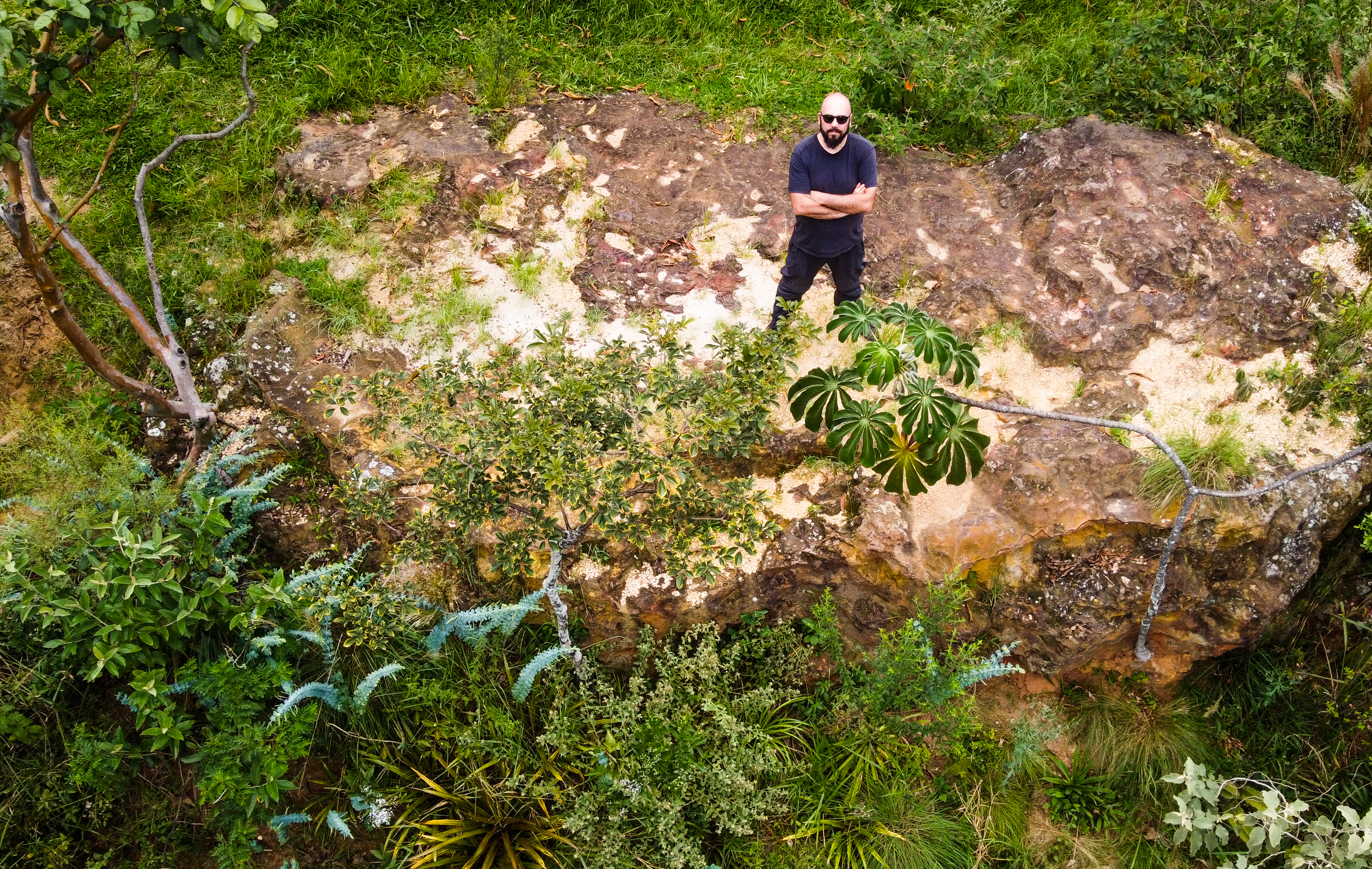 WhatDesignCanDo's tweet card. In recent years, we’ve seen a surge in initiatives aimed at making our cities greener and…