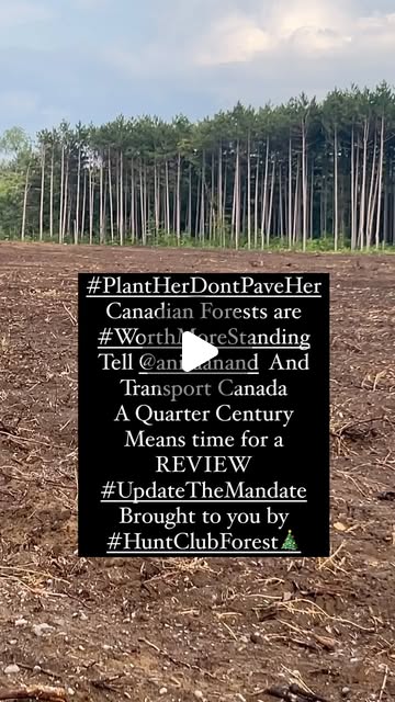 OttTreeHugger's tweet card. Ariel Lanark (@cdnchick1973) • Instagram reel