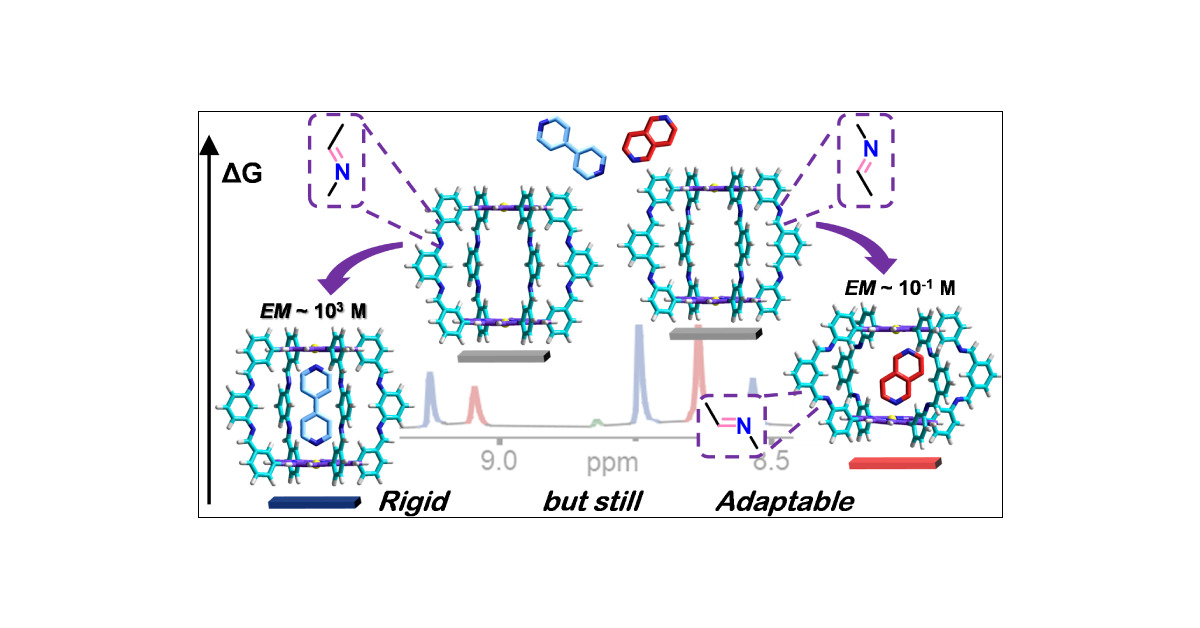 albertodejuan's tweet card. If we aim to develop efficient synthetic models of protein receptors and enzymes, we must understand the relationships of intra- and intermolecular interactions between hosts and guests and how they...
