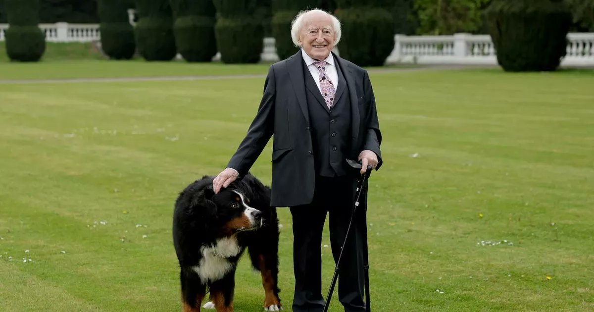 RSVPMagazine's tweet card. The former President of Ireland and his wife Sabina left Áras an Uachtaráin last month with their dog Misneach, and since then they’ve settled back into their home in Galway