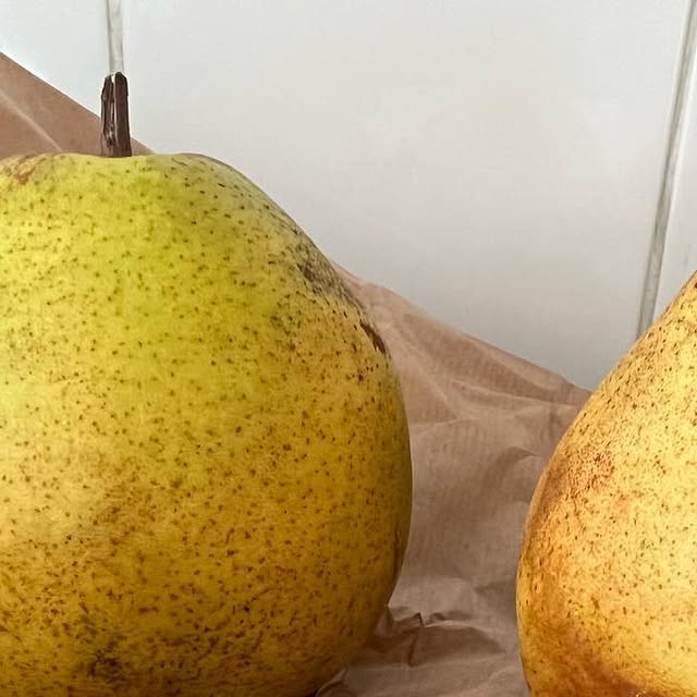 WebRessource's tweet card. Barbara (@webressource) • Instagram photo