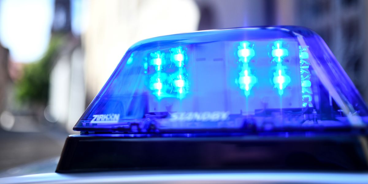 SPIEGEL_Netz's tweet card. Ein 20-Jähriger soll Kinder im Alter von 11 bis 15 Jahren im Internet zu Gewalt gegen sich selbst gezwungen haben. Nach seiner Festnahme haben Eltern Hinweise auf weitere Taten gemeldet.