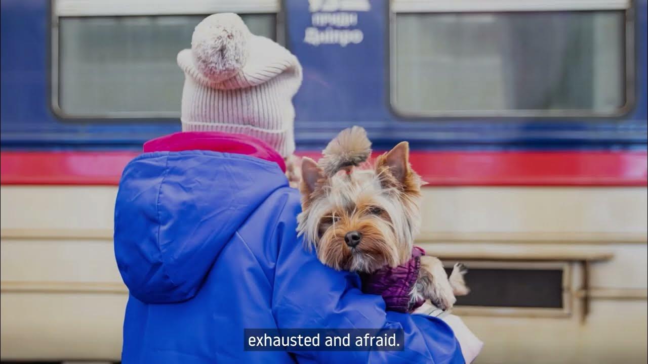 KHARPProject's tweet card. KHARPP - Przemyśl