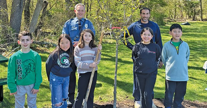 Tweet card summary image