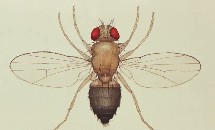 womanlyzine's tweet card. Our eyes are more than just windows to the soul - they serve as our gateways to the world around us. The way we perceive and process visual information has a