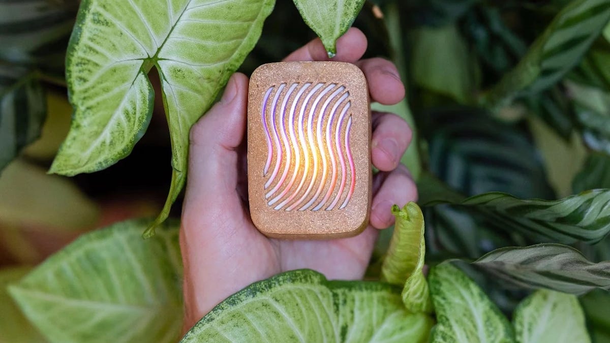 CNETNews's tweet card. Your plant-loving giftee probably has all the basics covered, so instead, consider plant tech that can take their greenery to the next level.