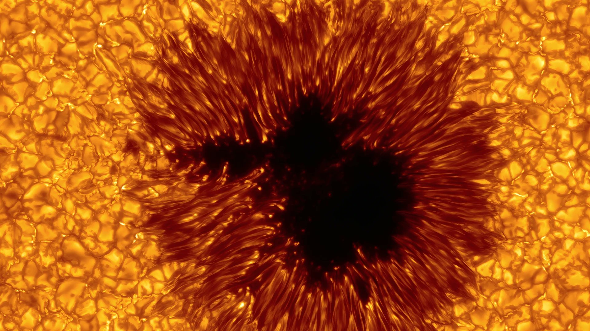 computer_zive's tweet card. Obrovská sluneční skvrna je viditelná pouhým okem • Silné sluneční erupce mohou v noci vyvolat polární záři i nad Českem • Při přímém pozorování Slunce musíte vždy používat certifikované ochranné...