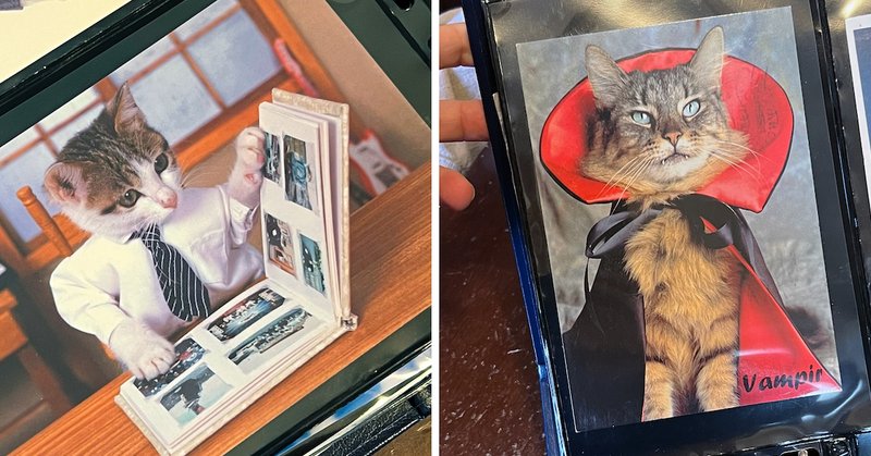 Tweet card summary image