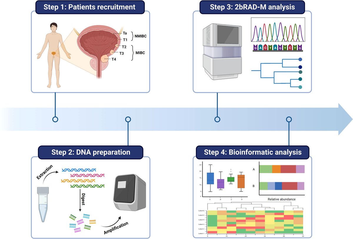 microbe_article's tweet card. BackgroundBladder cancer (BCa) is the most common malignancy of the urinary tract which can be divided into non-muscle-invasive bladder cancer (NMIBC) and mu...