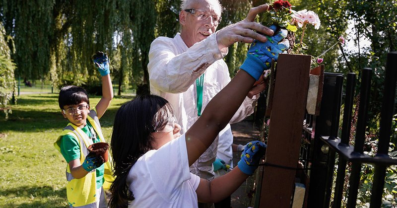 Tweet card summary image