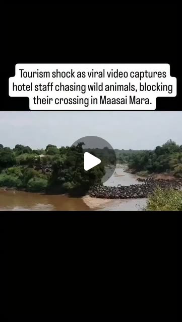 52Variables's tweet card. RICHKIDD WIZZY (@richkiddwizzy_ke) • Instagram reel