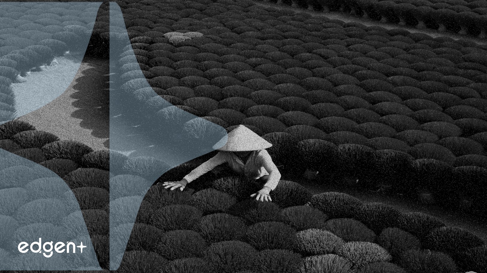 chowdhurydipan2's tweet card. Prediction market platform Limitless has launched the LMTS token airdrop claim for eligible users, aiming to enhance platform engagement and decentralization.