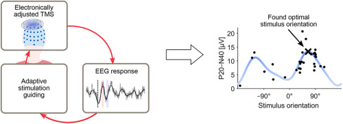 brainstimj's tweet card. Transcranial magnetic stimulation (TMS) is widely used in brain research and treatment of various brain dysfunctions. However, the optimal way to target stimulation and administer TMS therapies, for...