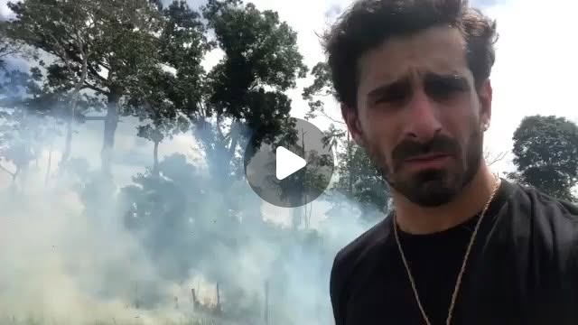 joerogan's tweet card. Joe Rogan (@joerogan) • Instagram video