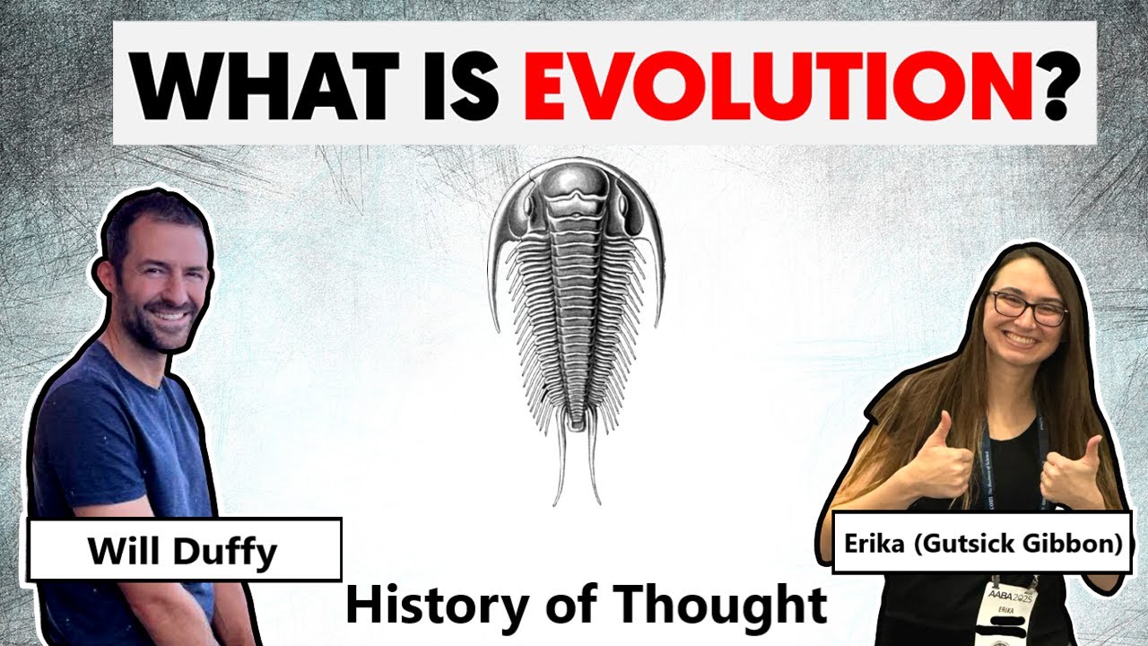 LiveOverflow's tweet card. Teaching Famous Creationist Will Duffy Evolutionary Theory (LIVE)...
