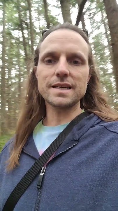 DarlingAxe's tweet card. Structural similarities between Moby-Dick and Alice's Adventures in...