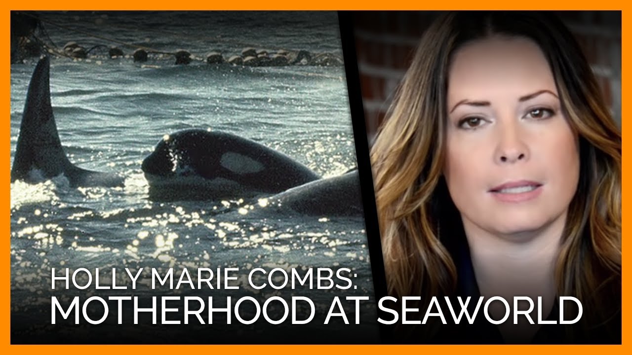 OrcaSOS's tweet card. SeaWorld Is a Horrible Place for Moms