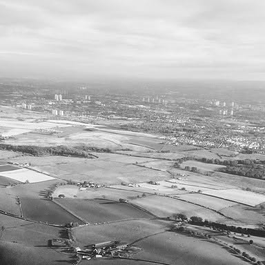 Harry_Styles's tweet card. @harrystyles • Instagram photo