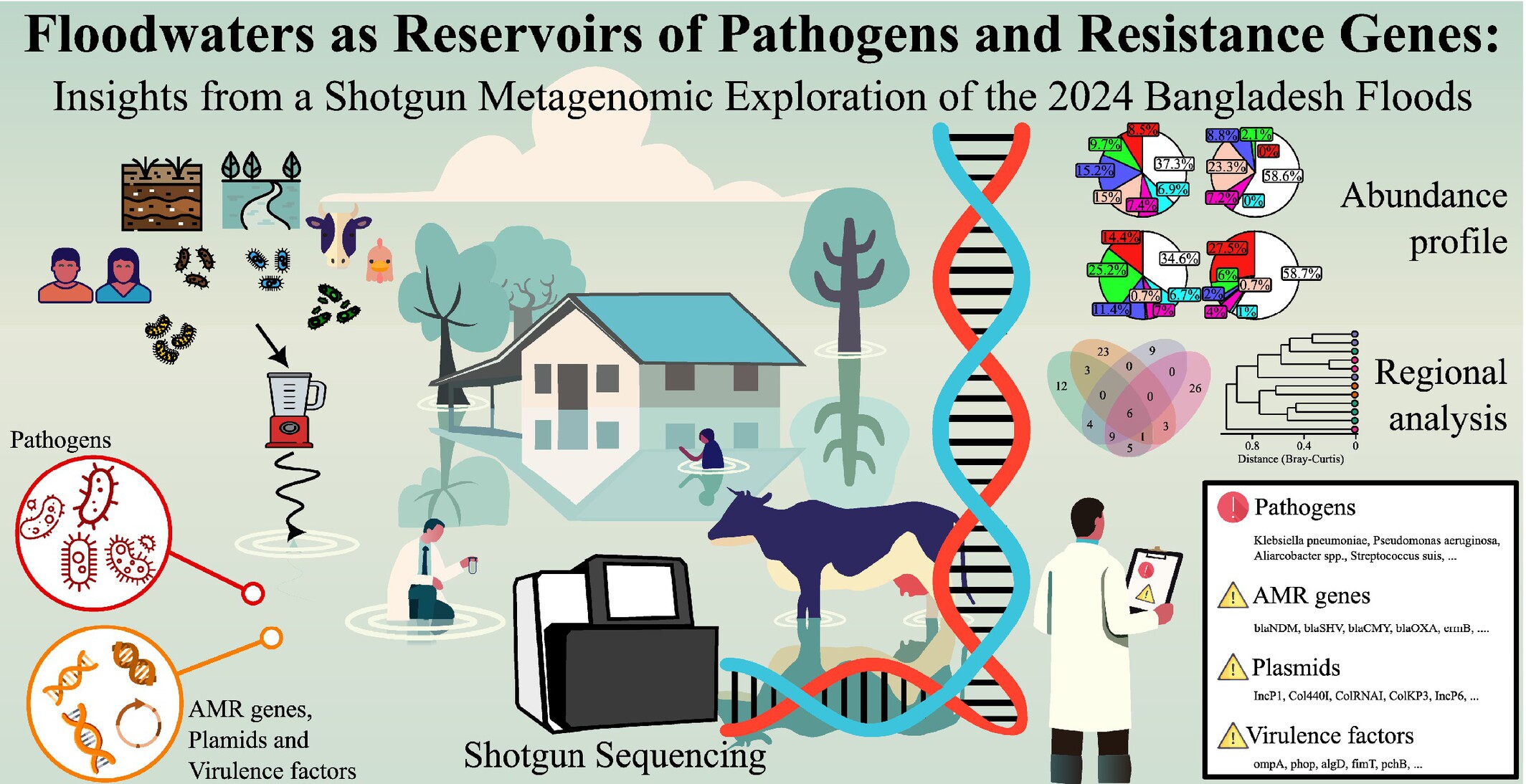 icddr_b's tweet card. Metagenomic analysis of Bangladesh floodwaters reveals diverse pathogens (Klebsiella pneumoniae, Pseudomonas aeruginosa), antimicrobial resistance genes (blaOXA, ermB), and mobilizable plasmids...