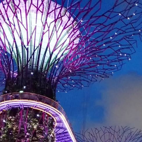 BackPackExplo's tweet card. Ninou Nivou (@ninou.nivou) • Instagram photo