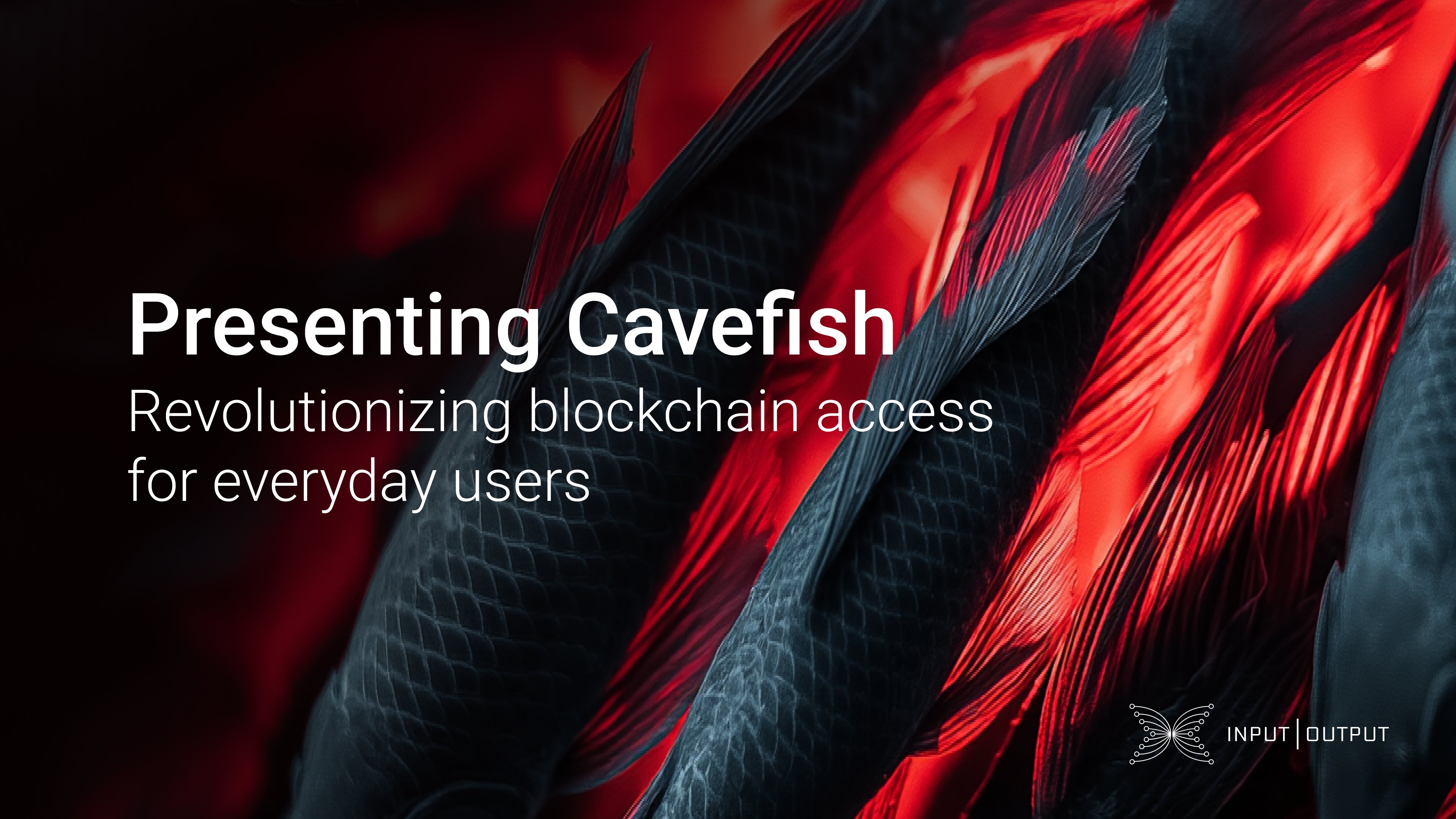 InputOutputHK's tweet card. Revolutionizing blockchain access for everyday users