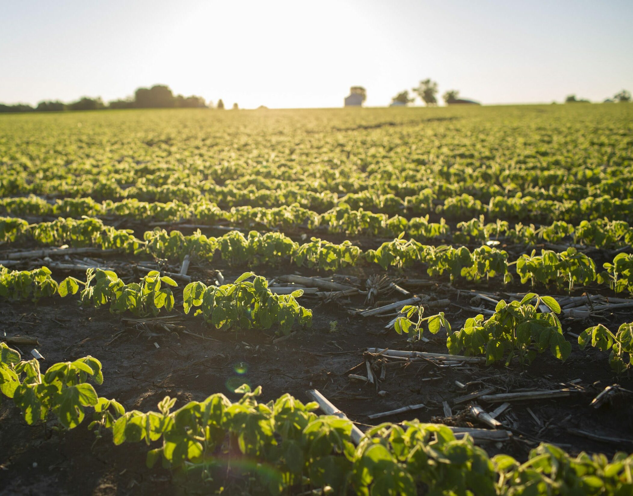 PCM_Farming's tweet card. Prioritizing Profitability over Yield PCM was built by farmers, for farmers to help you leverage your field data for profitability.We work one-on-one with farmers to help you understand the costs &...