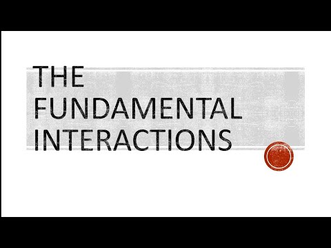 AmberAbhishek's tweet card. The fundamental interactions || Nuclear and particle physics || BSc...