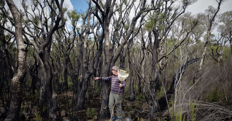 Tweet card summary image