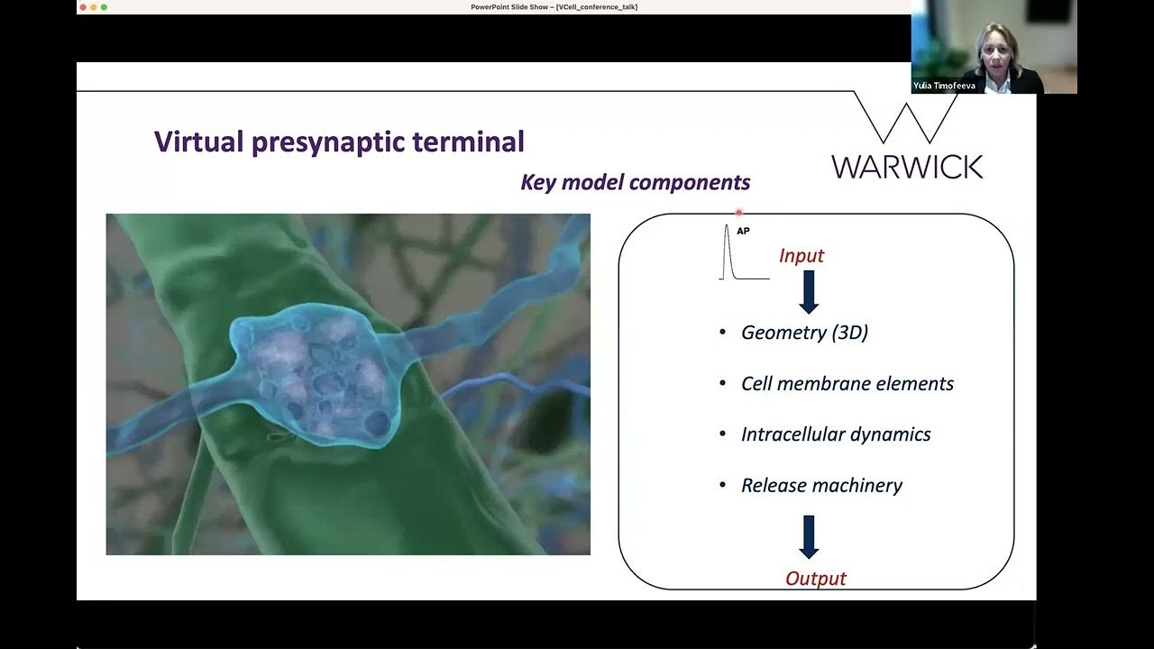CompCellBio's tweet card. 2024 CCB - Yulia Timofeeva