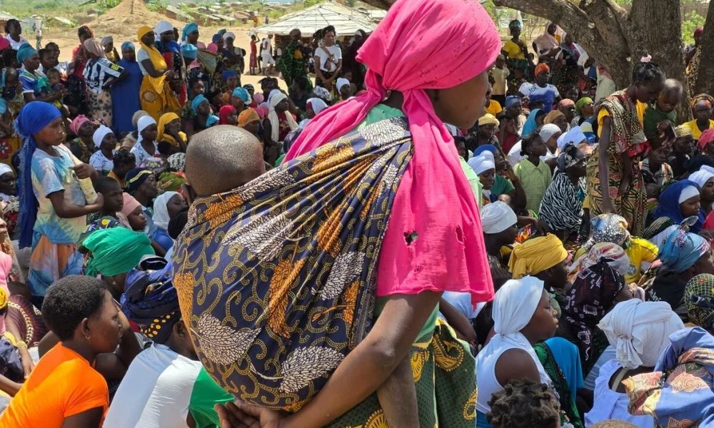 VAM_2020's tweet card. Kindly share this article About 1.3 million people have been displaced in Mozambique since 2017 The UN Refugee Agency,  UNHCR, says it  is gravely concerned as intensifying attacks on villages and...