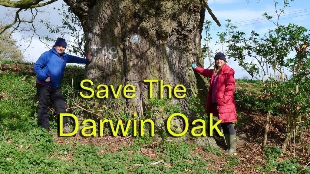 UseLinux's tweet card. Save The Darwin Oak