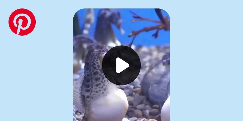 DanWils42696605's tweet card. Found this on Pinterest