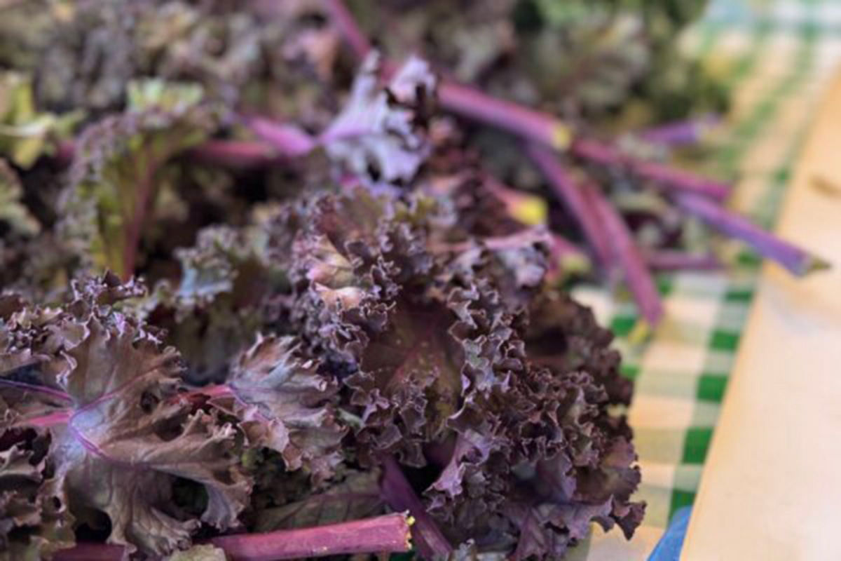 CM_Sayles's tweet card. Montgomery County Councilmember Laurie-Anne Sayles hosted Farm-to-Table symposium in support of local producers.