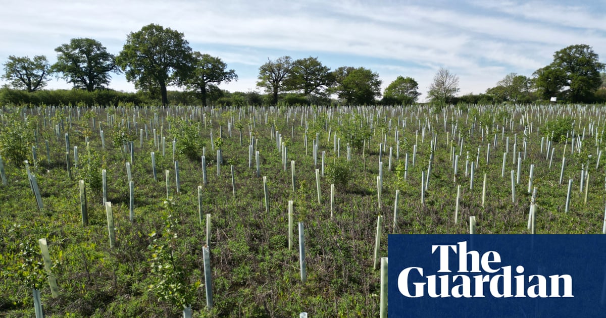 _NetZeroPlus's tweet card. Uncertainty over future of climate and economy points to ‘investment portfolio’ approach, study finds