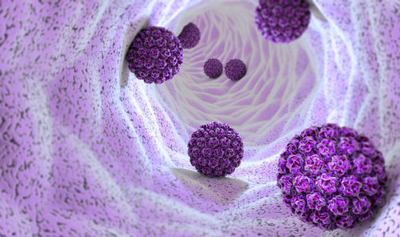 littlewisehen's tweet card. Single HPV vaccine dose matches protection of 2-dose regimen, new trial shows