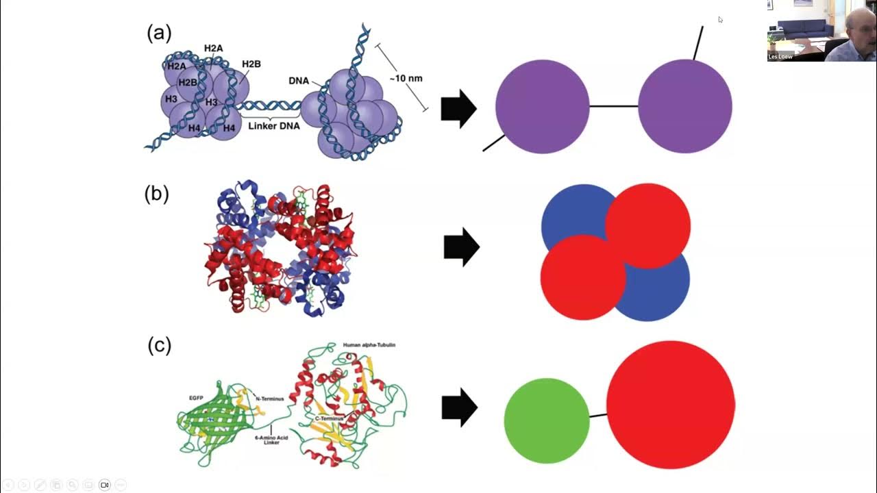 lesloew's tweet card. 2024 CCB - Les Loew - SpringSalad