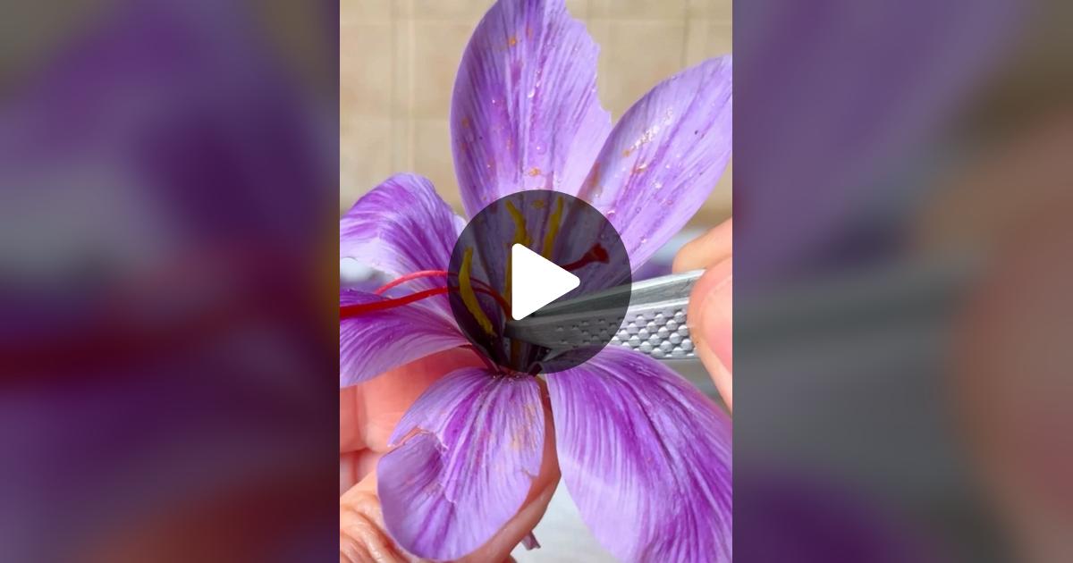 learntogrow07's tweet card. Check out learntogrow’s video.