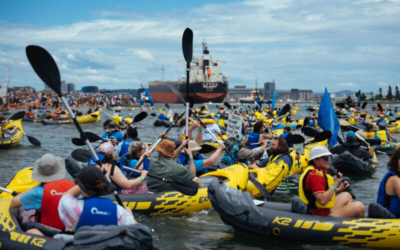Wendy_Bacon's tweet card. 156 people arrested during the Rising Tide protests, which closed the world's biggest coal port at Newcastle. Wendy Bacon was one of them.