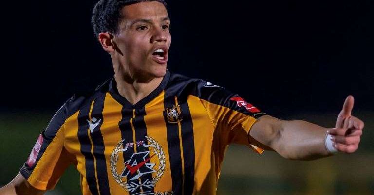 Tweet card summary image