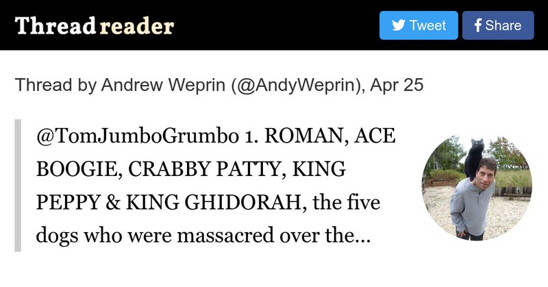 Tweet card summary image