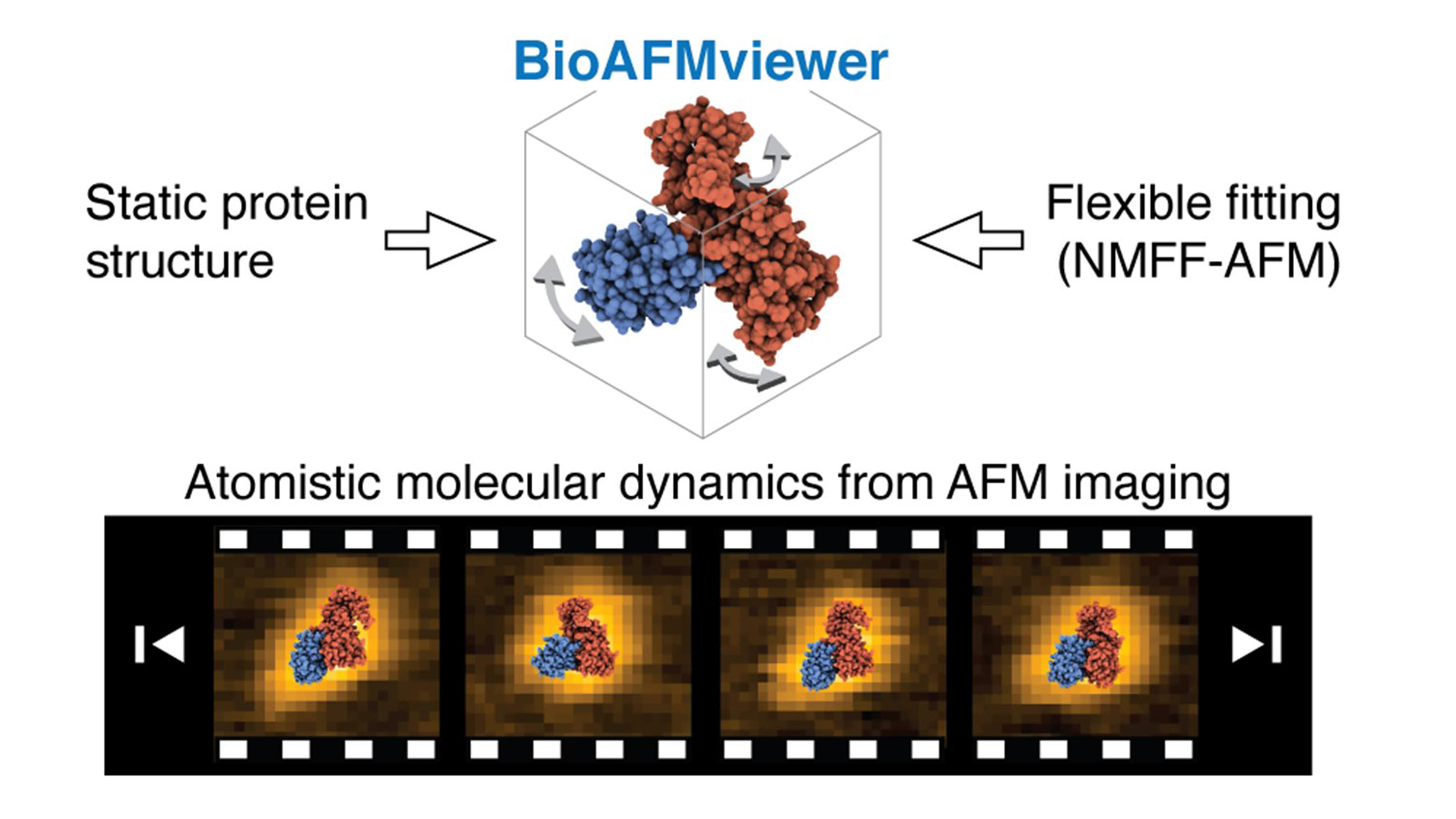 NagoyaUniv_info's tweet card. 【ポイント】 金沢大学ナノ生命科学研究所（WPI-NanoLSI）のホルガー・フレクシグ特任准教授、名古屋大学トランスフォーマティブ生命分子研究所（WPI-ITbM）／名古屋大学大学院理学研究科／理化学研究所計算科学研究センター（R-CCS...