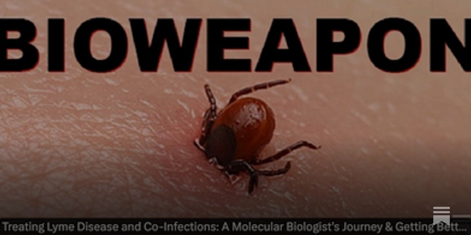 2ndSmartest's tweet card. COLUMBUS DAY WEEKEND SALE ENDS TOMORROW! And please vote in today's POLL.