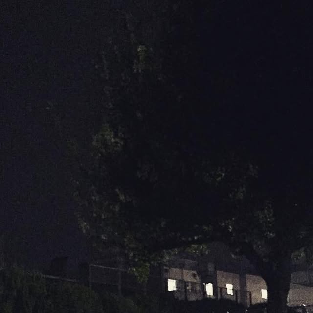 windships's tweet card. wind (@windy10120313) • Instagram photo