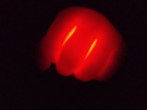 LynHagan's tweet card. Cargo